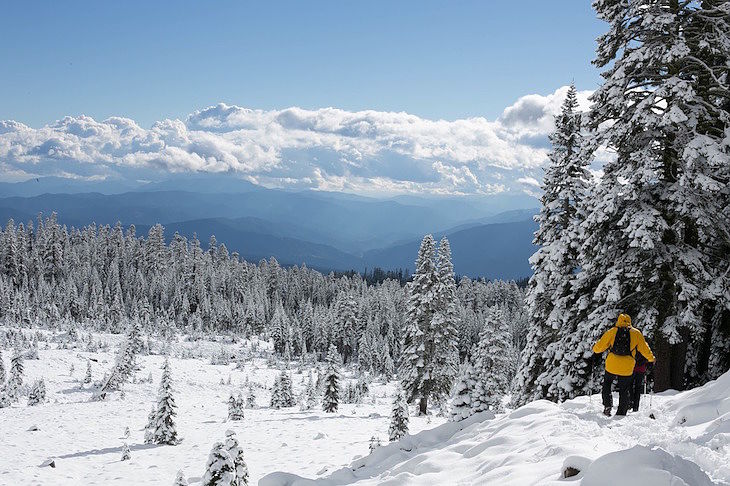 Winter holiday inspiration