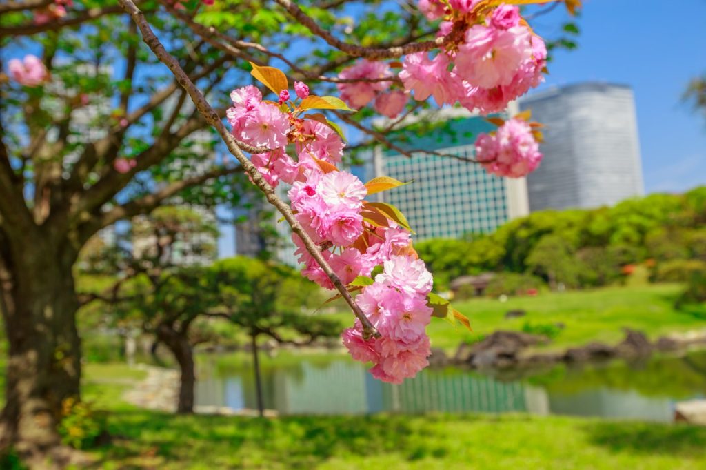 Japan