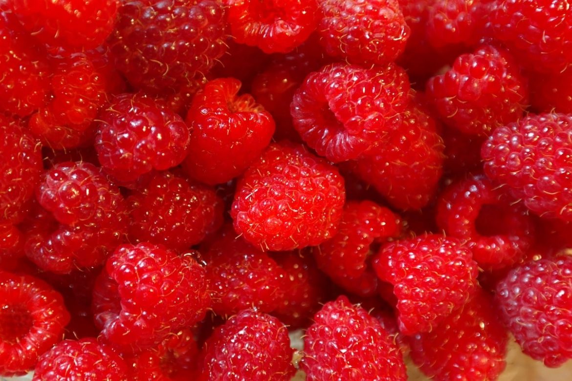 Colour of the Year Merry Berry